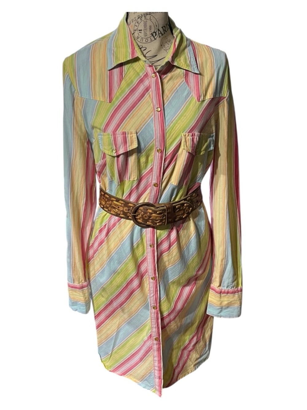 Striped Pastel Button-Up Western Shirt Dress - Multicolor 6